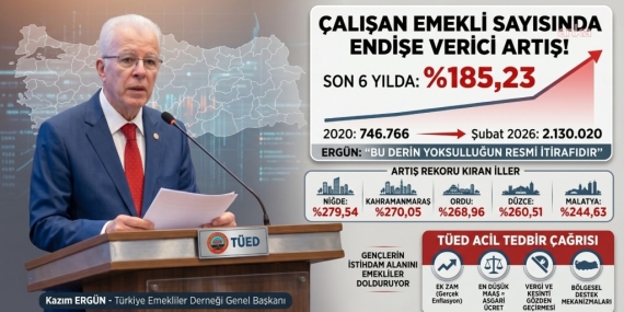 TÜED Genel Başkanı Ergün: 6 yılda çalışan emekli sayısı 3 katına çıktı